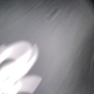 Meet your Posher, Milton